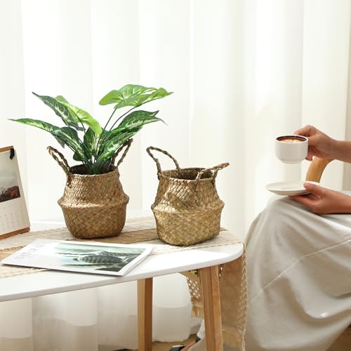 4 Pcs Woven Seagrass Baskets Belly Basket (XXS,6.3''Dx5.5''H)