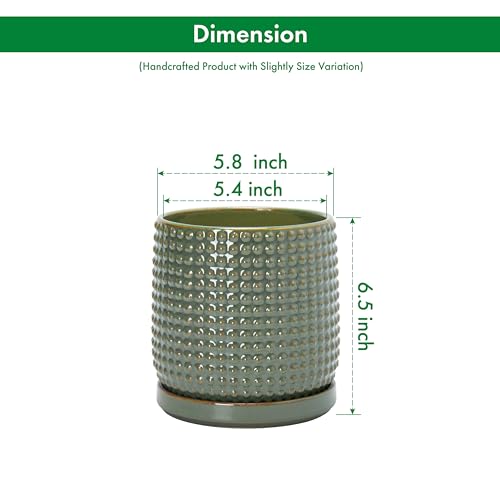Beaded Ceramic Pot with Saucer (5.8 Inch / Olive)