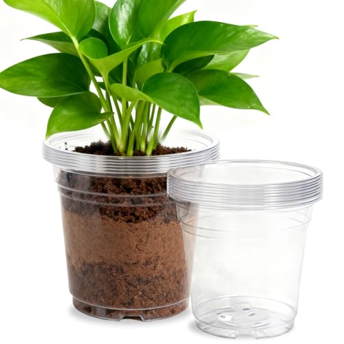 40 Pack10 & 8 Inch Large Clear Nursery Pots with Drainage (Clear / 10/8 Inch)