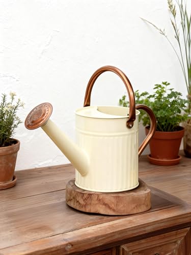 Metal Watering Can for Indoor Outdoor Plant 1