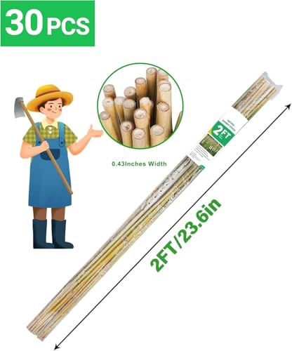 2ft Natural Bamboo Plant Stakes for Tomatoes (2FT 30PCS)