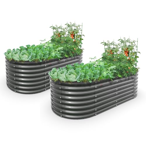 Anleolife 2 Bed 6x3x2ft Oval Galvanized Raised Garden Beds (Set of 2 / 0102-grey)