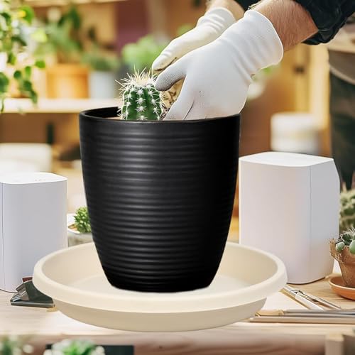 5 Pack Plant Saucer 6 Inch (6" (5 Pack) / Beige)