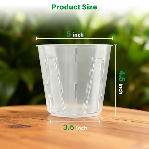 5 Inch Side Open Orchid Pots 12 Pack (5 Inch-12Pcs)