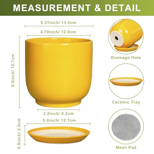 Plant Pot 5 Inch (5.3 Inch / Gloss Yellow)