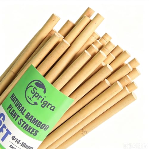 50pcs Bamboo Stakes 6ft (6FT, 50 of pack)