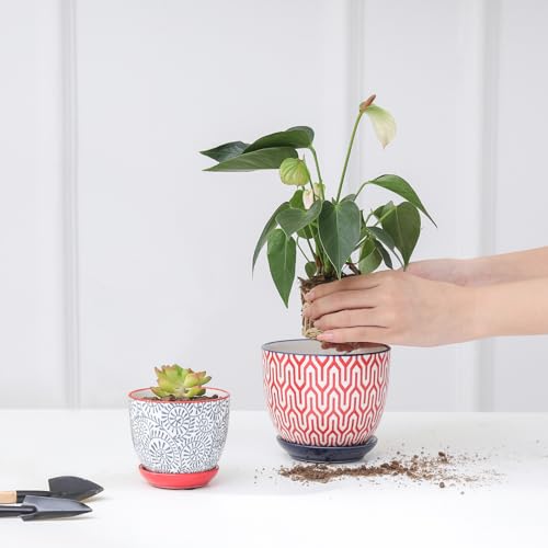 Ceramic Succulent Pots (Assorted Colors / 3.5 Inch, Set of 6)