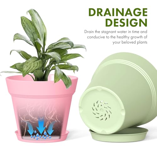 5 Inch Plastic Plant Pots with Drainage Holes and Trays (6 Count)