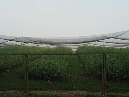 Aviary Netting 1" Heavy Knotted Poultry Net