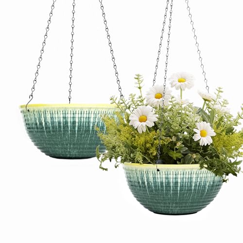10inch Hanging Planter (2 Count)
