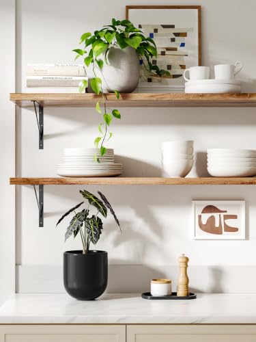 6 Inch Ceramic Plant Pot (Black / 6 Inch)