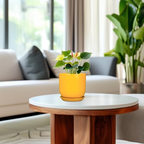 Plant Pot 5 Inch (5.3 Inch / Gloss Yellow)