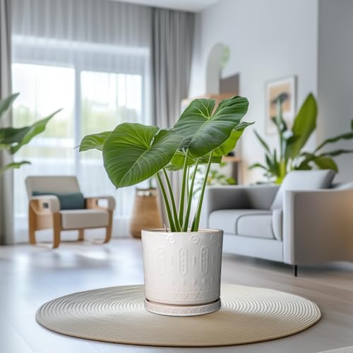 Ceramic Pots for Plants 12 Inch