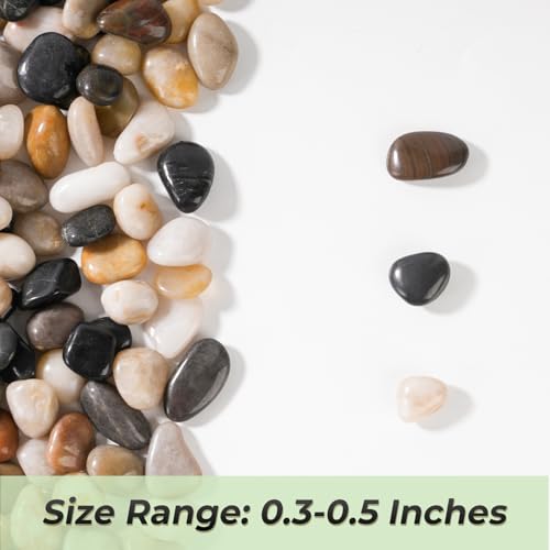 5 LB Mixed River Rocks (5 Pounds / Mixed)