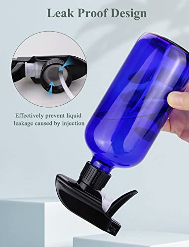 Glass Spray Bottle (2 Count)