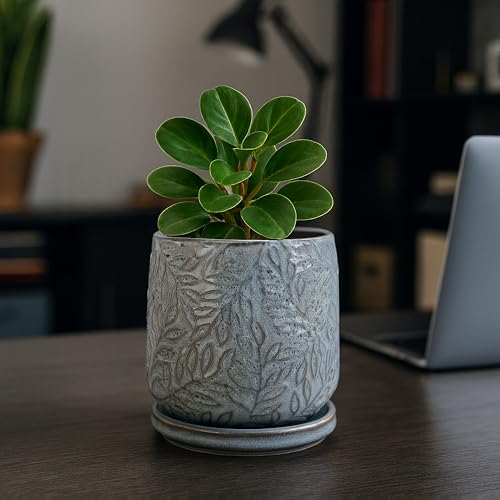Embossed Leaves Ceramic Planter (4 Inch / Graphite Blue)