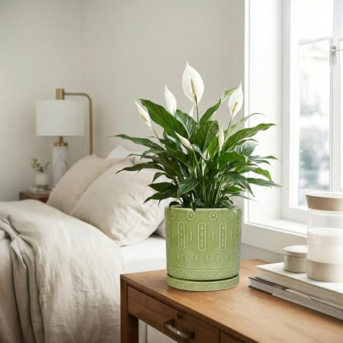 Ceramic Pots for Plants (8 Inch / Green - 2)