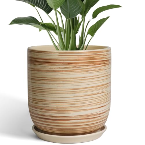 12 Inch Pots for Plants