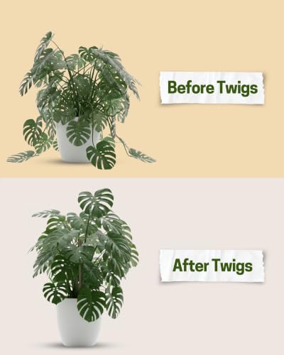 Original Plant Support Stakes (Monstera (Dark Green) / Original (10 Pack))