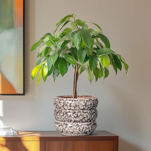Ceramic Plant Pots (8 Inch / Leopard Print White)