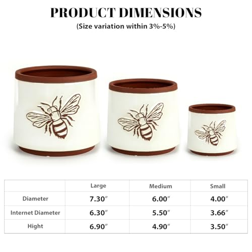 Terracotta Pots (8+6+4 Inch / White Bee)