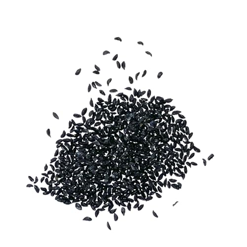 Common Chives Seeds to Plant Heirloom Non (2 Packs)