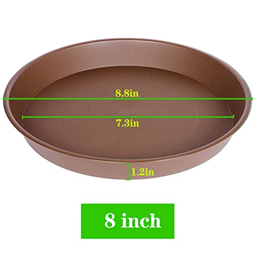 2 Pack of 8 inch Plant Saucer Clear (8" (2 pack) / Chocolate)