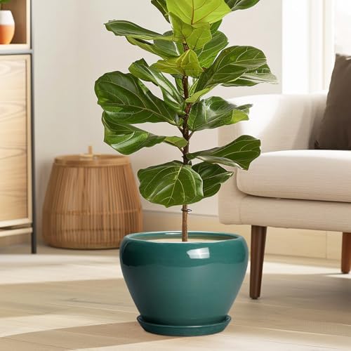 8 Inch Plant Pot (8 Inch / Green)