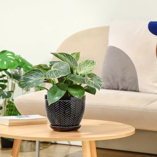 Sureasy 6.5 Inch Ceramic Plant Pots (Black / 6.5 inch)
