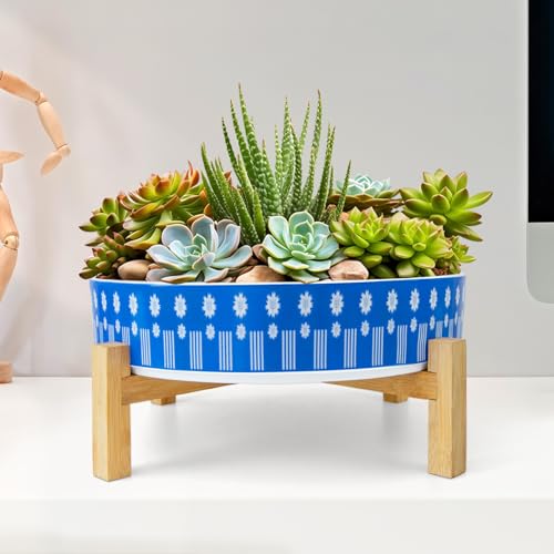 Succulent Pots (Floral 1)