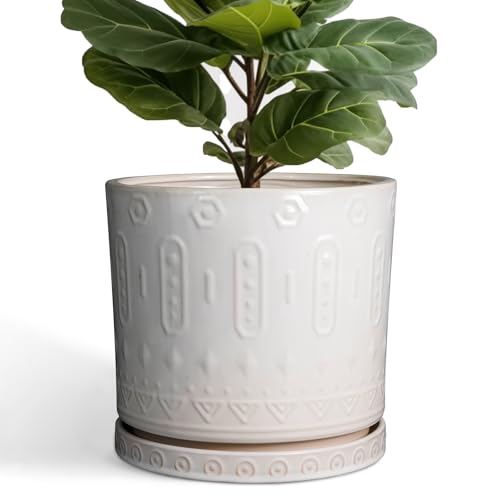 Ceramic Pots for Plants 12 Inch