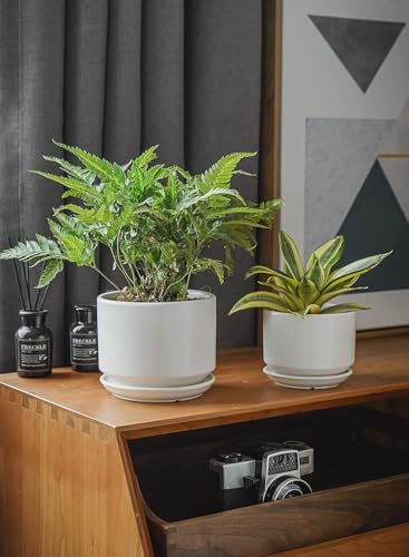 6.8 Inch Ceramic Pots for Plants (White / 6.8")