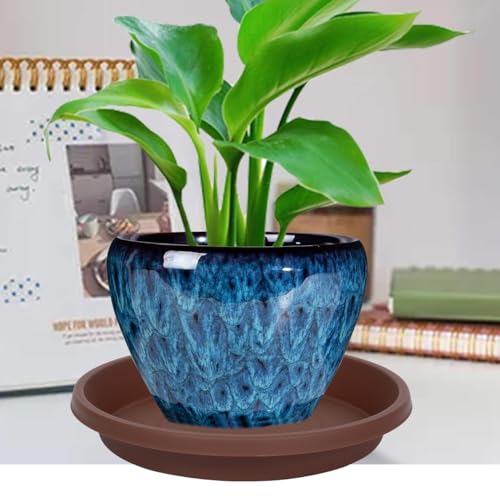 Plastic Plant Saucer Round 12 Inch Extra Large Pack of 2 Heavy Duty Drip Trays for Large Pots (12" (2 Pack) / Brown)