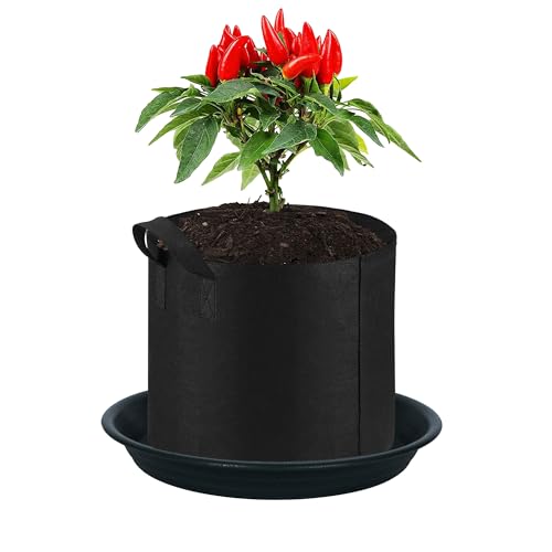 Plant Saucer Pot Tray 12 inch (12" - 4 Pack / Black)