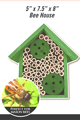 Mason Bee Houses and Supplies (Forest Green)