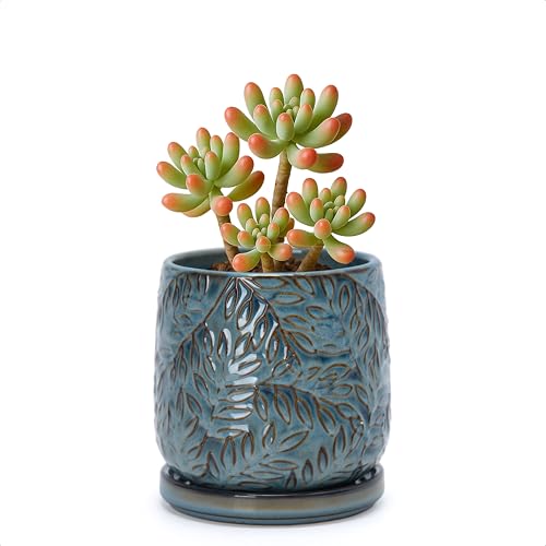 Embossed Leaves Ceramic Planter (4 Inch / Ocean Teal)