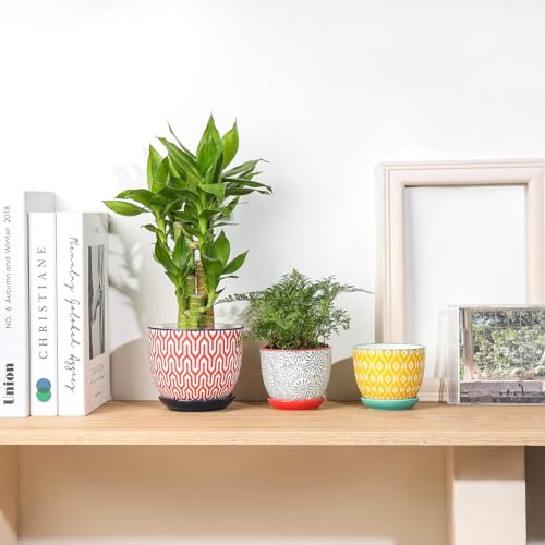 Ceramic Succulent Pots (Assorted Colors / 3.5 Inch, Set of 6)