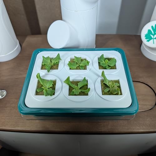 Grow Cubes for Hydroponic System (Seed Starter Nursery + w/Rockwool)