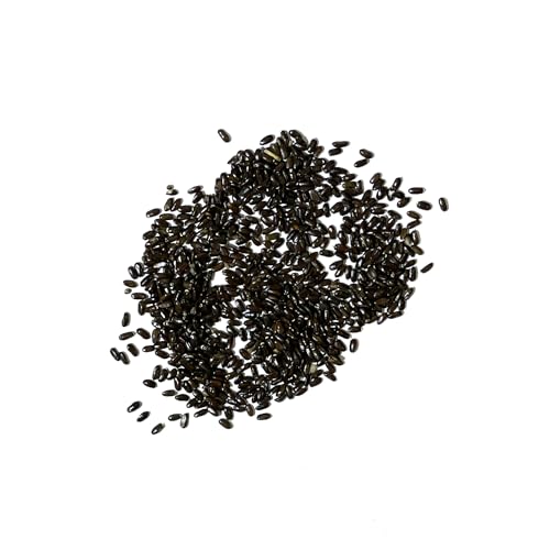 Spike Lavender Seeds to Plant Heirloom & Non (2 Packs)