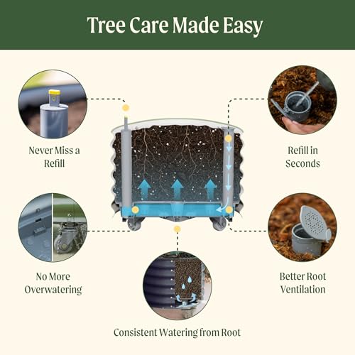 Rolling Citrus Tree Planter Gen 3 (Modern Gray / 30 Gallon)