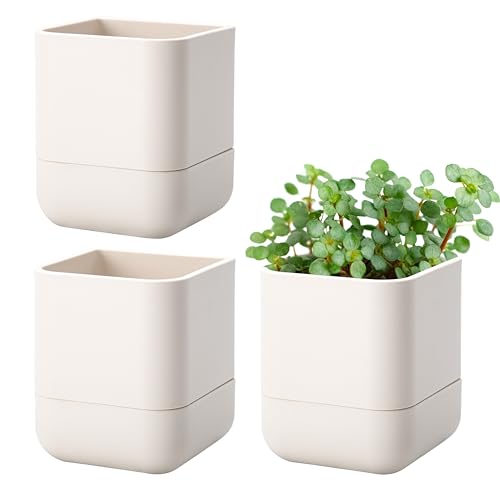 4.5 Inch Wall Mounted Self (4.5" (3 Pack) / Oatmeal)