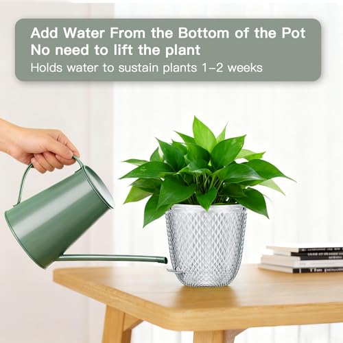 Hanging Planters for Indoor Plants (Clear / 5.7in)