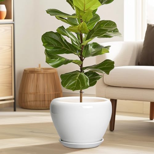 Ceramic Pot for Plants (10 Inch / Glossy White)