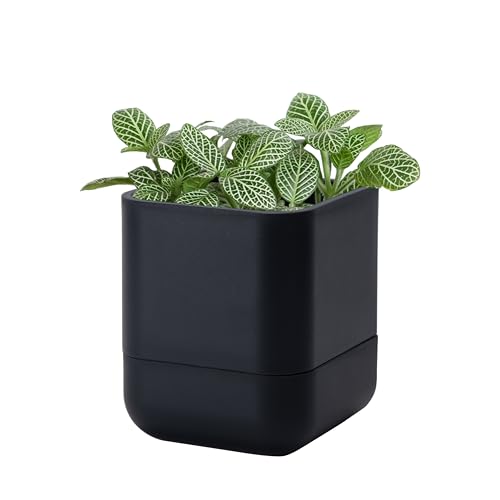 4.5 Inch Wall Mounted Self (4.5" (1 Pack) / Black)