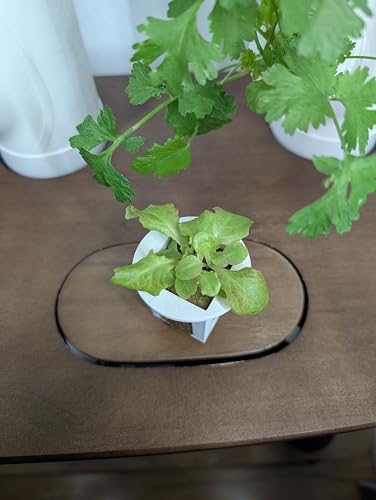 Grow Cubes for Hydroponic System (Seed Starter Nursery + w/Rockwool)