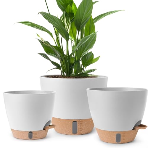 Self Watering Pots for Indoor Plants (White-small)
