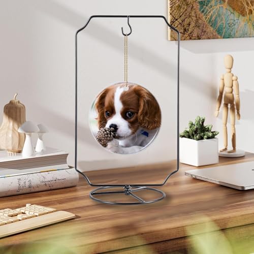 Ornament Display Stand