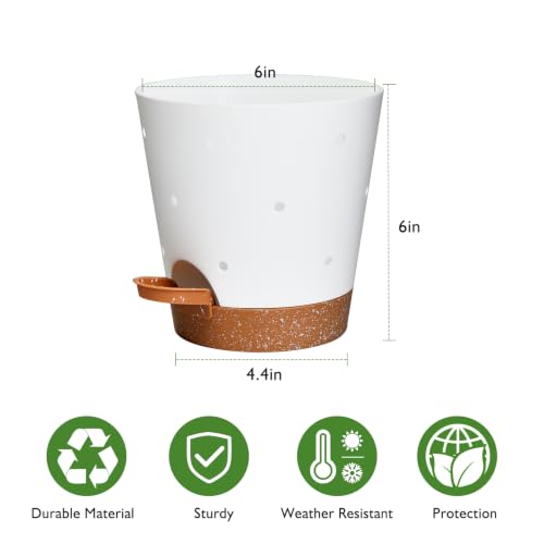 Orchid Pots with Holes (White+brown-5pack)
