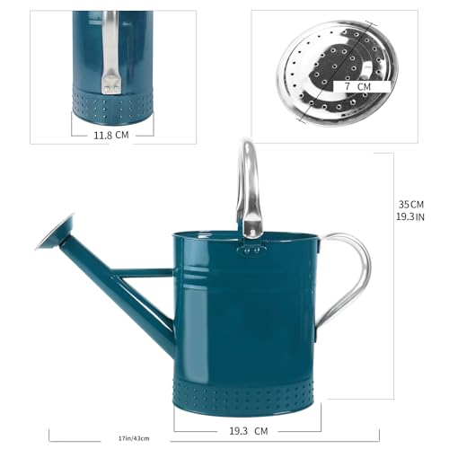 1 Gallon Metal Watering Can with Removable Spout (Ocean Blue)