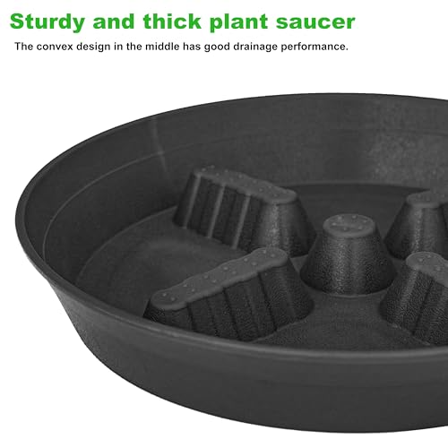 2 Pack Plant Saucer 8 inch (8"-2 Pack / Black)
